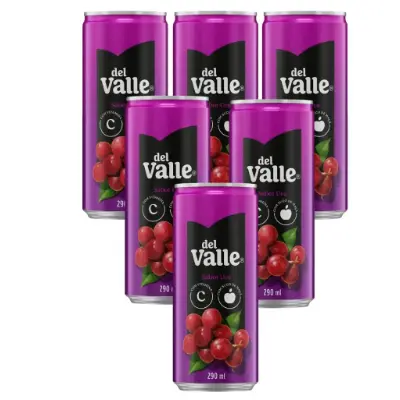 DEL VALE UVA 290ML