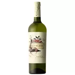 Altaland Torrontes
