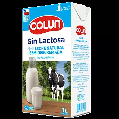 Leche sin lactosa semidescremada 1L