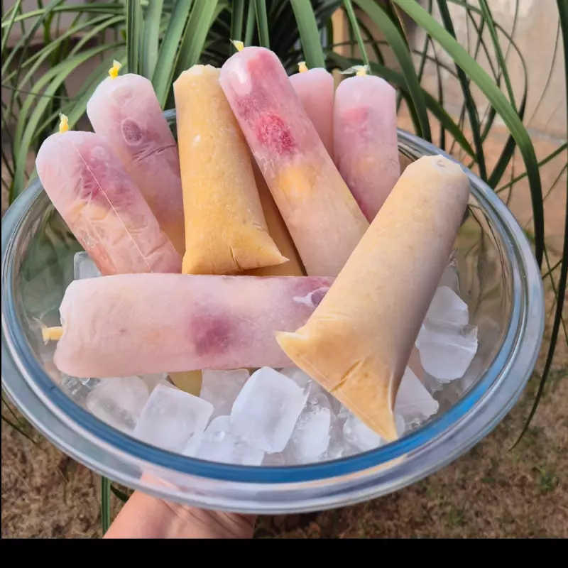Sorbet Pura Fruta Sem açúcar