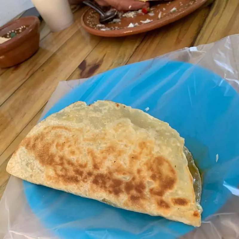 Quesadilla de harina grande