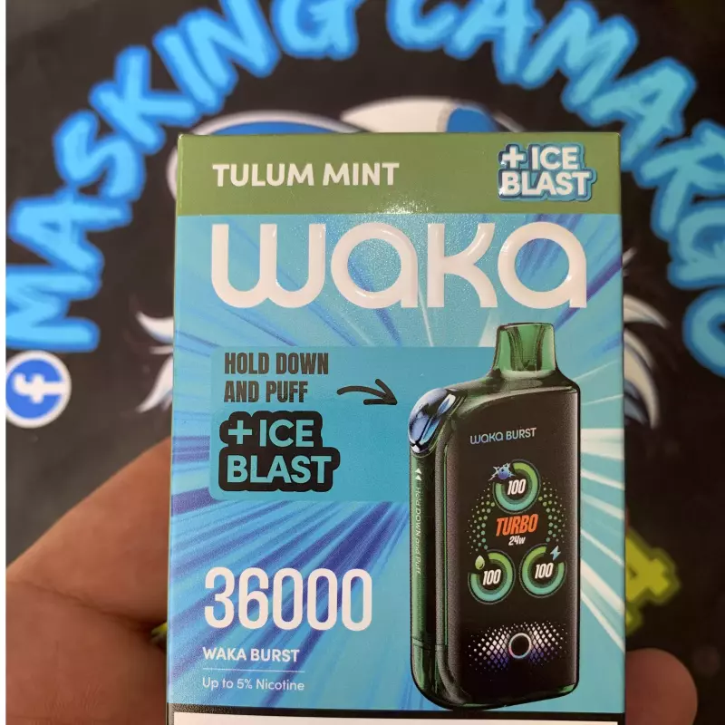 Tulum Mint 🧊 🏝️