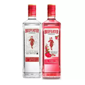 Gin Beefeater Seco Com Vibe