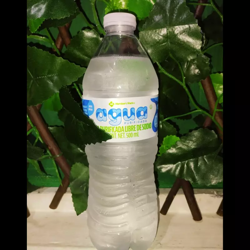 Agua Natural Embotellada 500 ml.