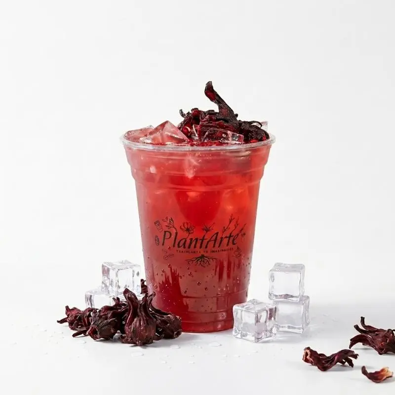 Limonada Infusion Jamaica (NUEVO)