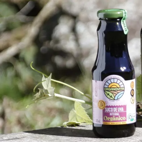 Suco de uva bordo 300ml