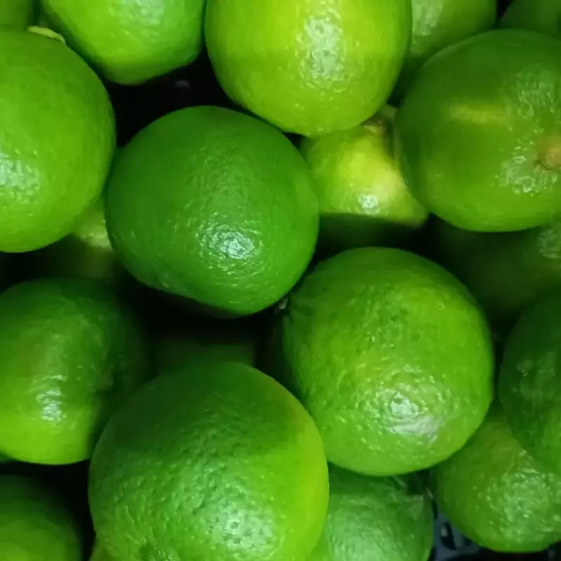 LIMÃO TAHITI ORG.1kg