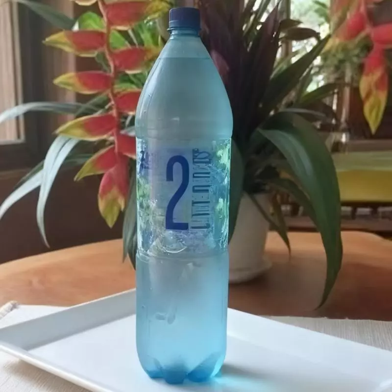 AGUA PURA 2 LT