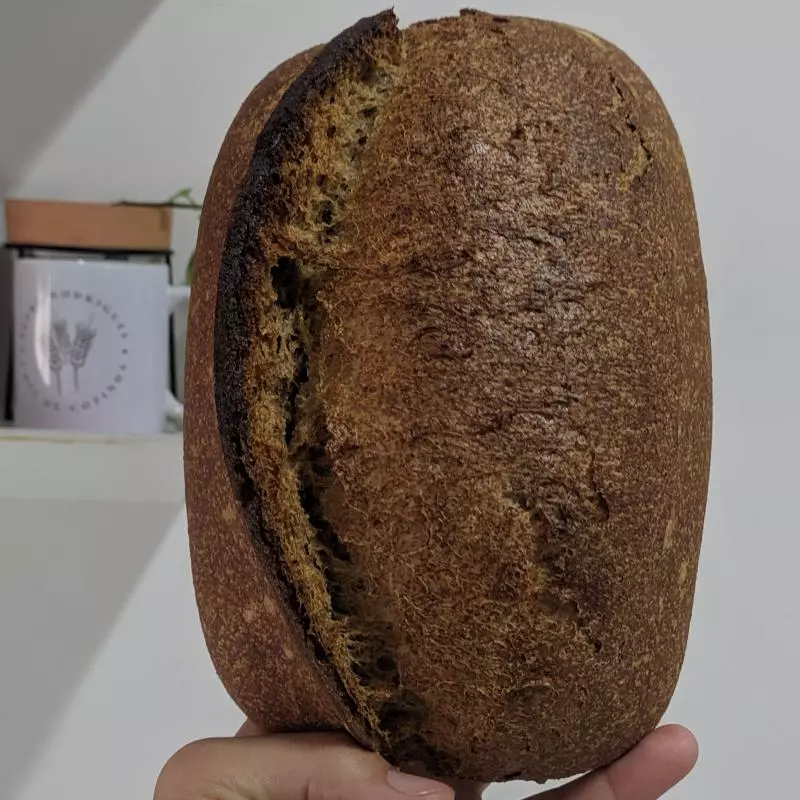 Rústico Integral 🌱