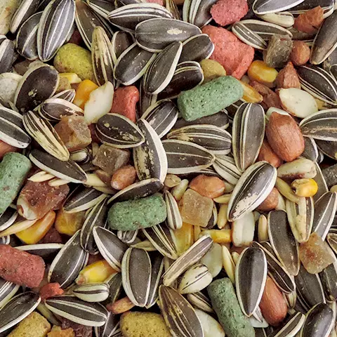 MISTURA PAPAGAIO KG (1186)