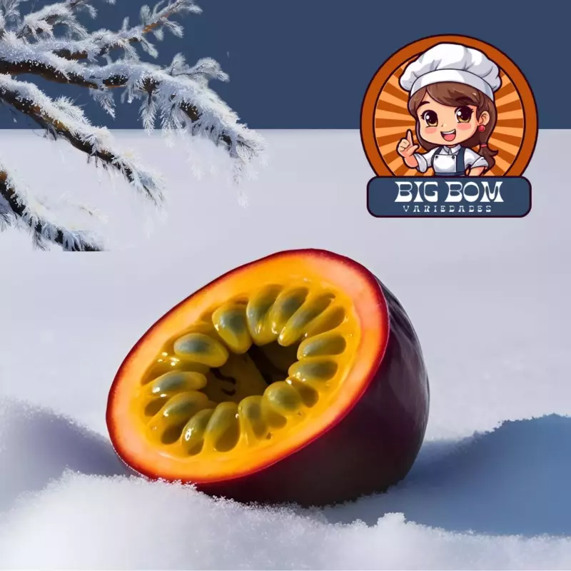 Sorvete de Maracujá