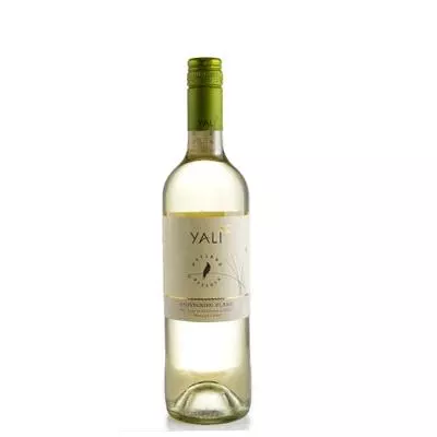 VINHO BRANCO - CHARDONNAY