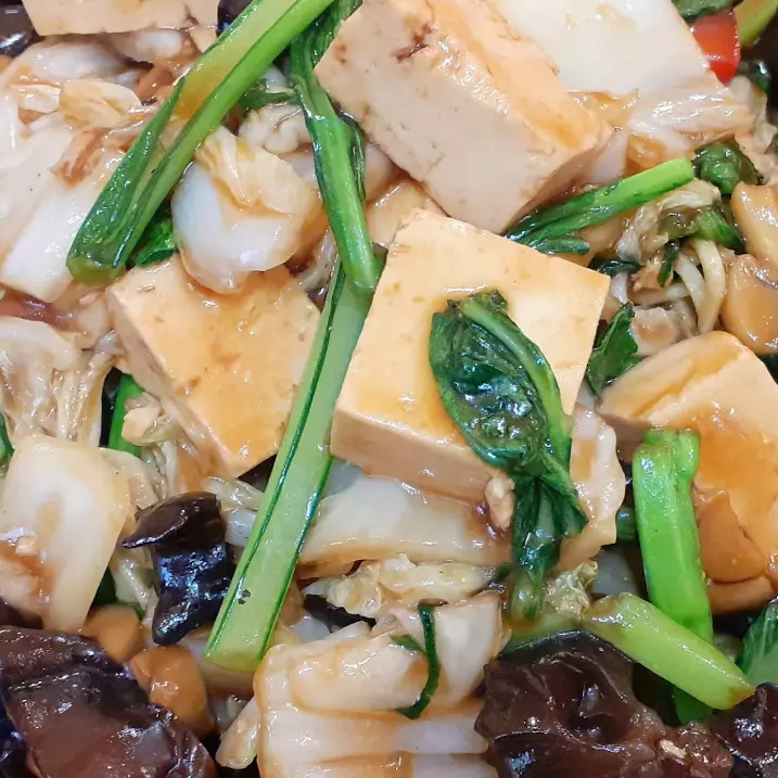 Saltado Vegetariano Especial