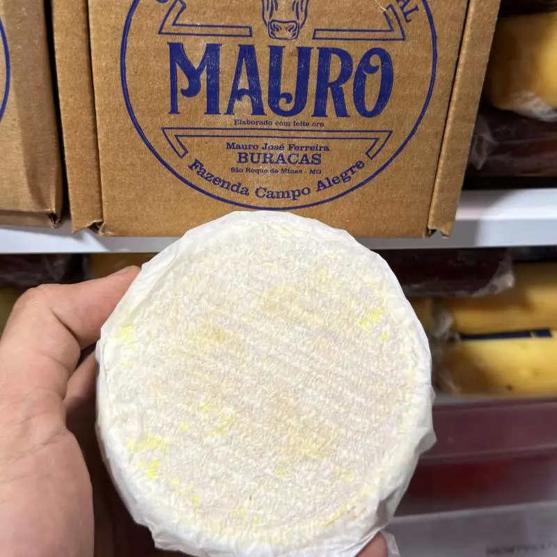 Canastra Meia Cura - Mauro