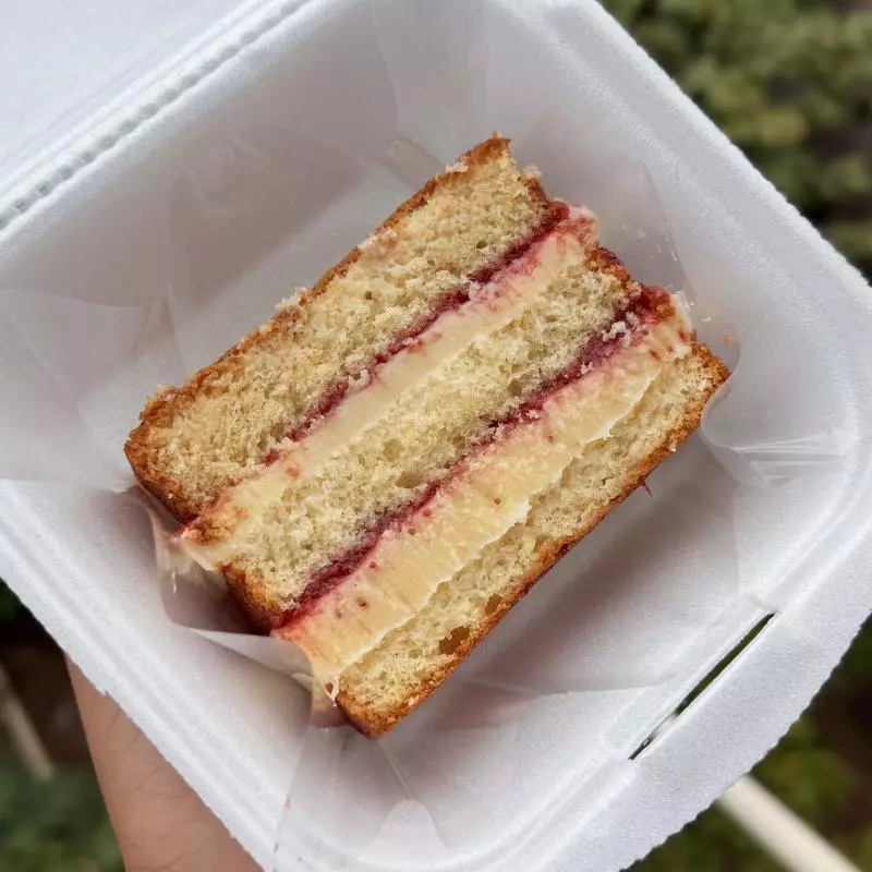 Fatia bolo de aniversário