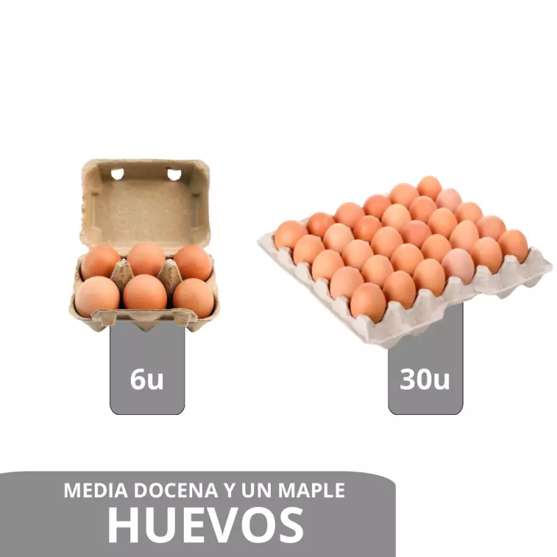 Huevos