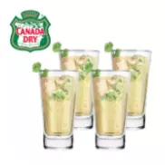 MICHELADA DE CANADRA DRY