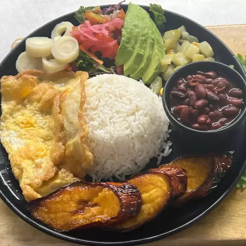 Vegetariano / Vegetarian