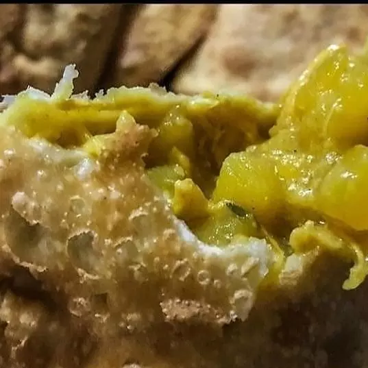 Saltenha  Tradicional