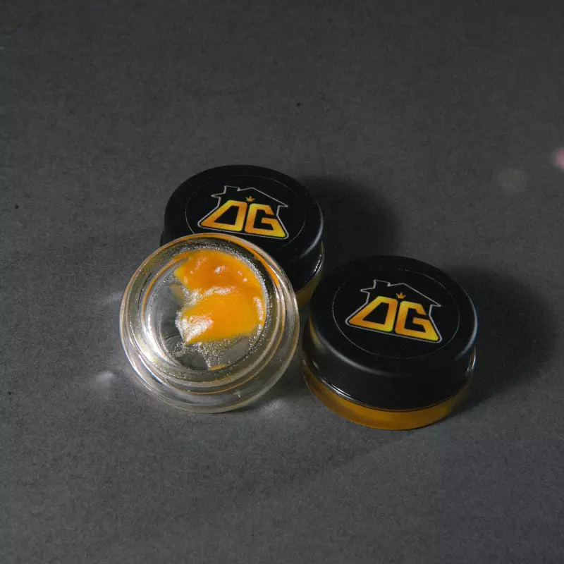 Mango Haze HIBRIDO💚