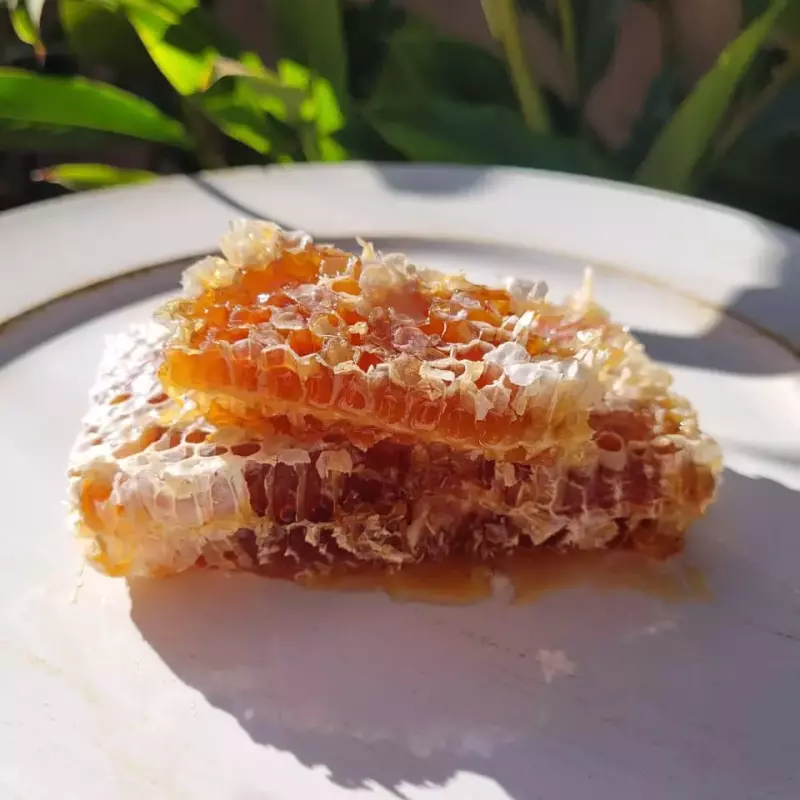 FAVO DE MEL - CADA 250G