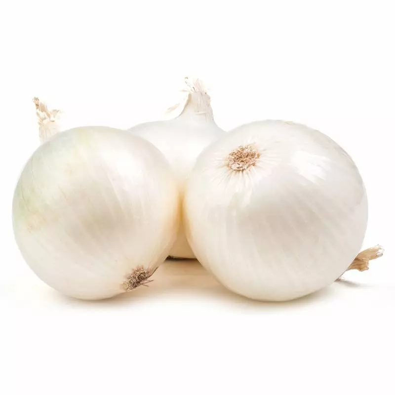 Cebolla org x 250 gms