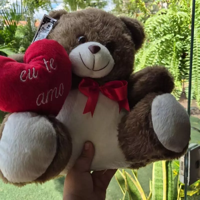 Urso Médio Amor