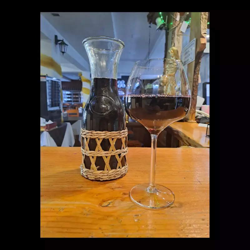 Vino de la Casa (tinto / red wine)