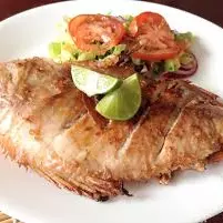 Peixe ariacó Frito