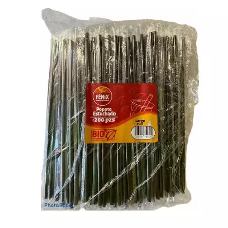 Popote FX Largo Negro 25cm