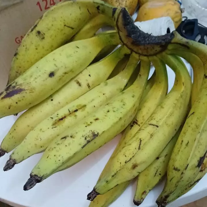 Banana da Terra (Calais)