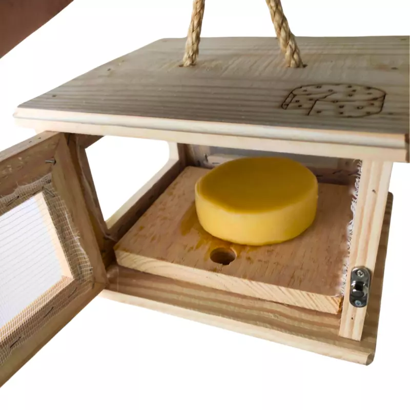 Maturador para um queijo