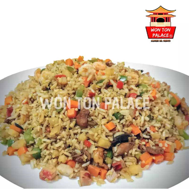 CHOW FAN ESPECIAL 1 LITRO