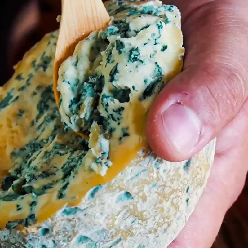 Gorgonzola Duplo Creme - Serra Antas
