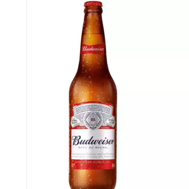 CAIXA Budweiser 600ml c/24 UNIDADES
