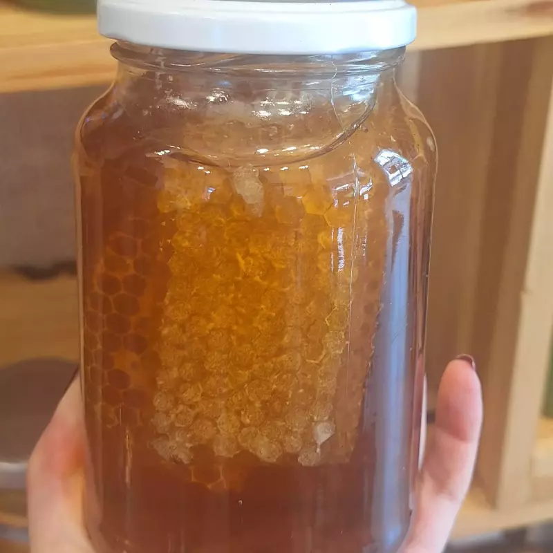 Mel Puro COM FAVO 450gr