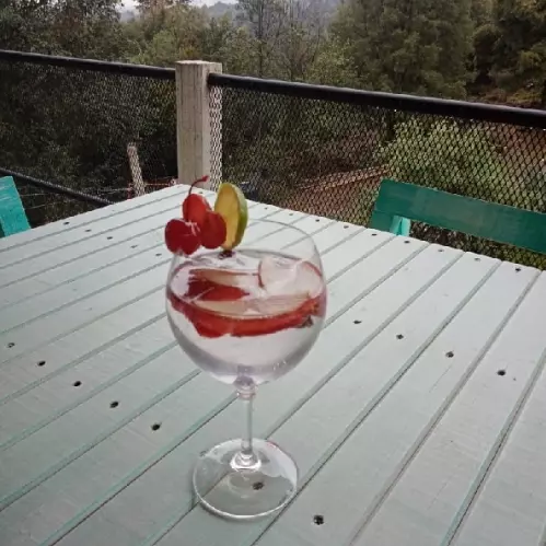 Coctel Gin