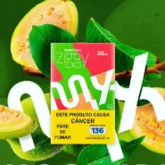 Essencia Ziggy  Duas Goiabas