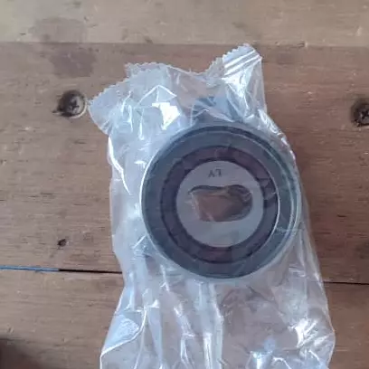 Tensor de la correa de distribucion