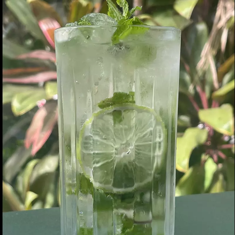 MOJITO