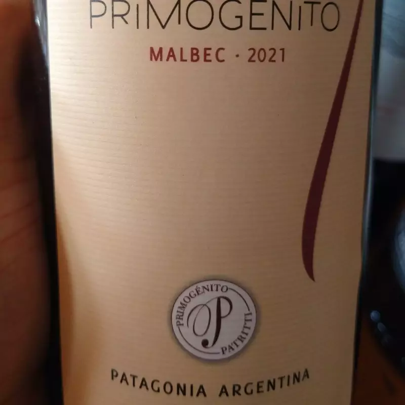Primogenito