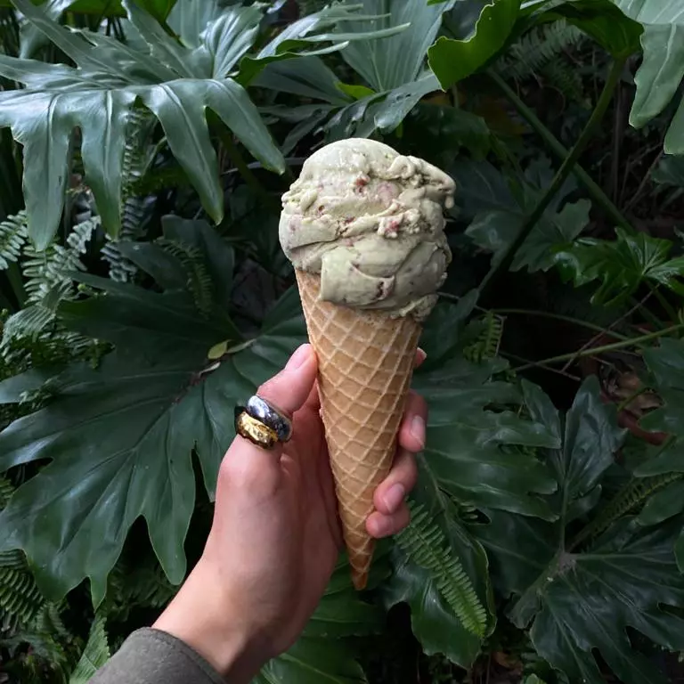 HELADO MATCHA MIEL  AGAVE Y CONO 8OZ