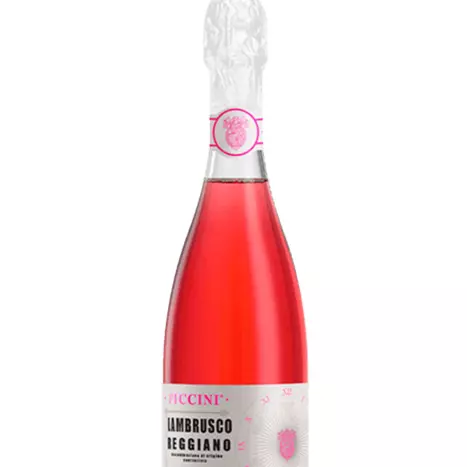 BOTELLA DE VINO LAMBRUSCO FRIZZANTE