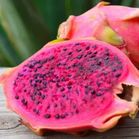 Pitaya