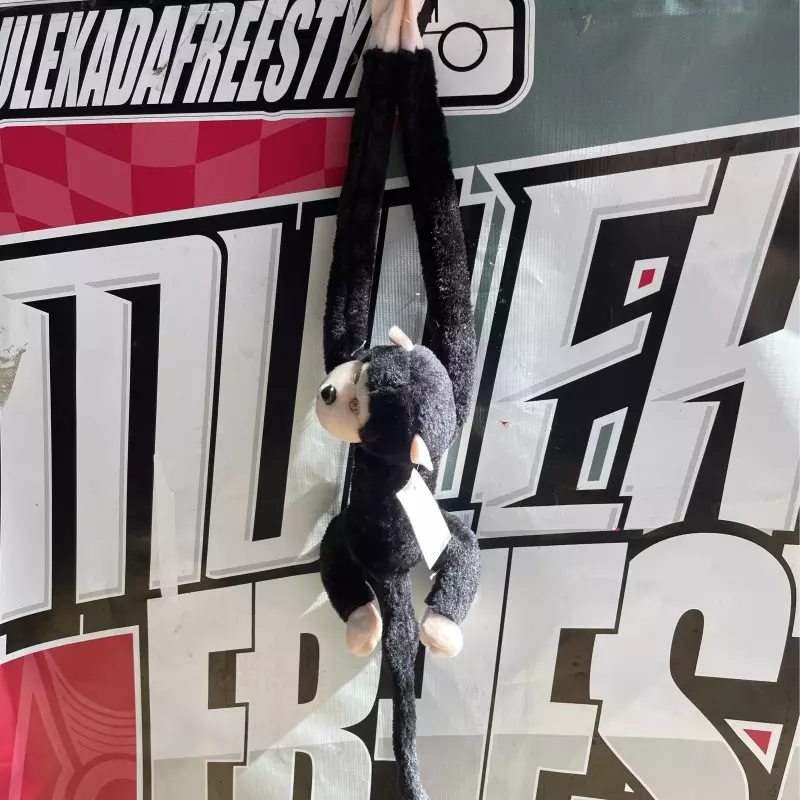 MACACO PRETO