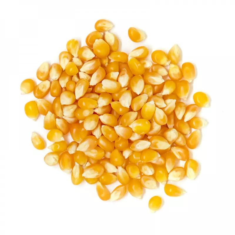 MAIZ POP CORN 400GR