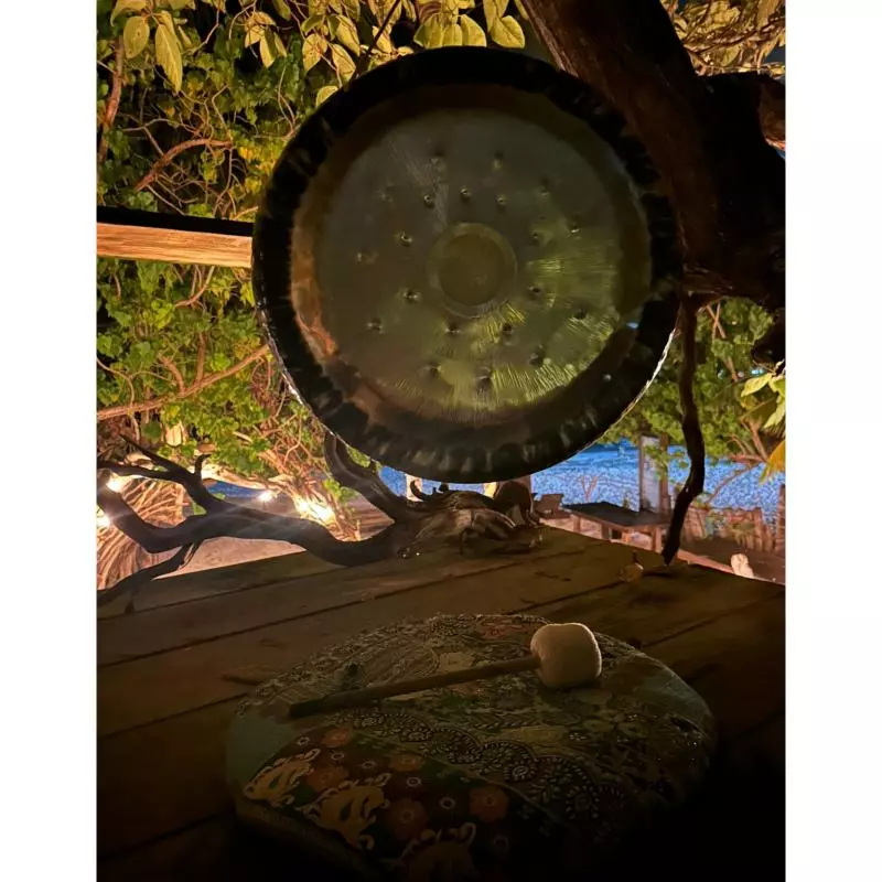 TEPARAPIA DE GONG