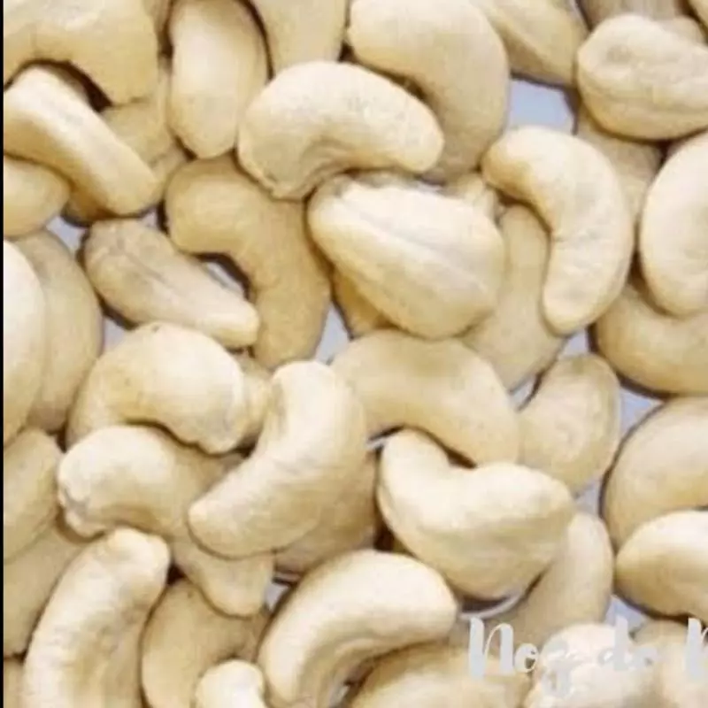 Castanha cajú inteira crua