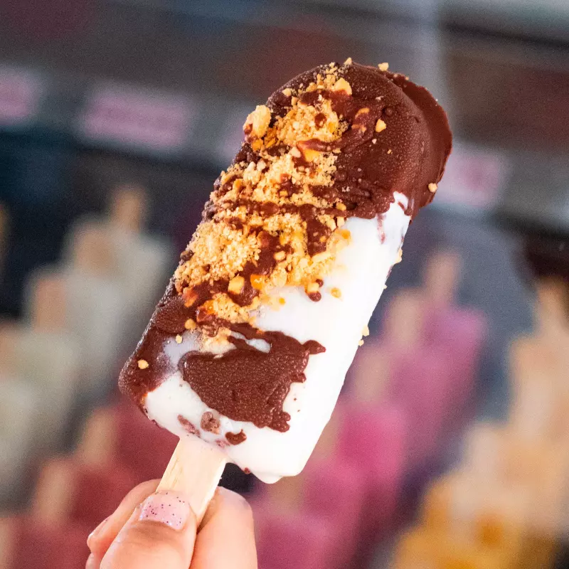 Paletas Premium