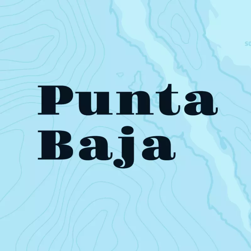 PUNTA BAJA Light Lager